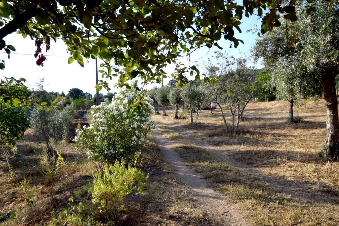 Ola Linda - Casa De Campo - Каштелу де Виде Екстериор снимка